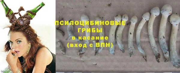 ГАЛЛЮЦИНОГЕННЫЕ ГРИБЫ Алексеевка