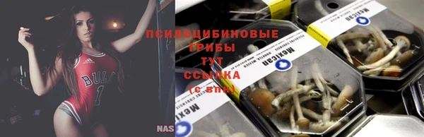 ГАЛЛЮЦИНОГЕННЫЕ ГРИБЫ Алексеевка