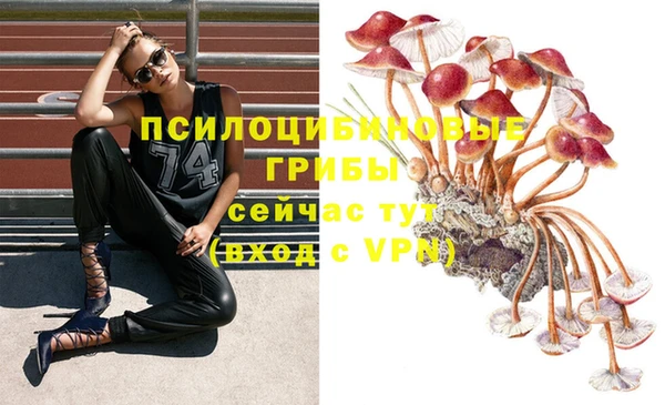 кристаллы Алексин
